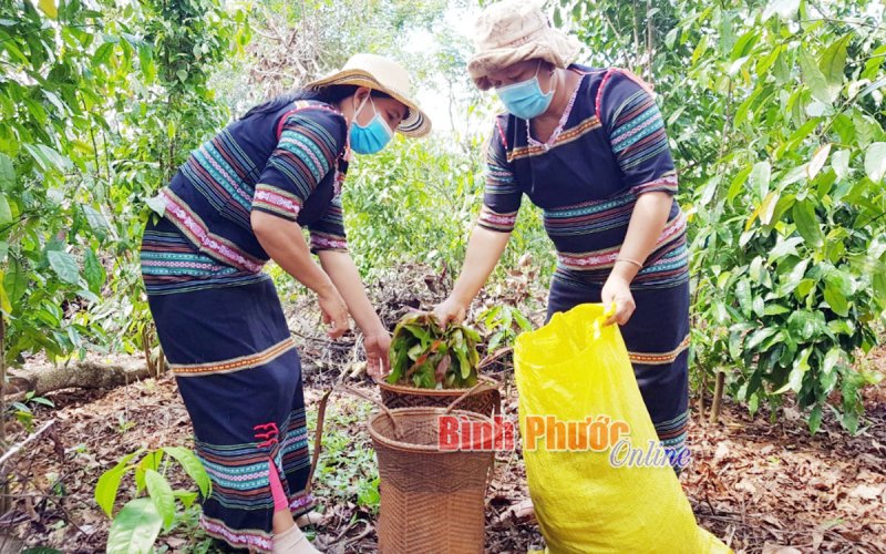 Nghĩa tình đồng bào hướng về tâm dịch