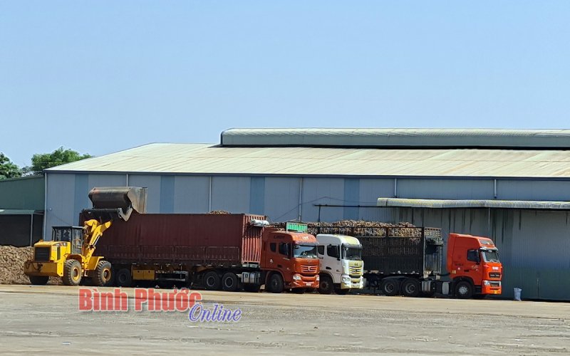 Nhiều giải pháp phát triển kinh tế khu vực biên giới