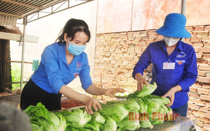 Những “kỹ sư tâm hồn” xung phong chống dịch