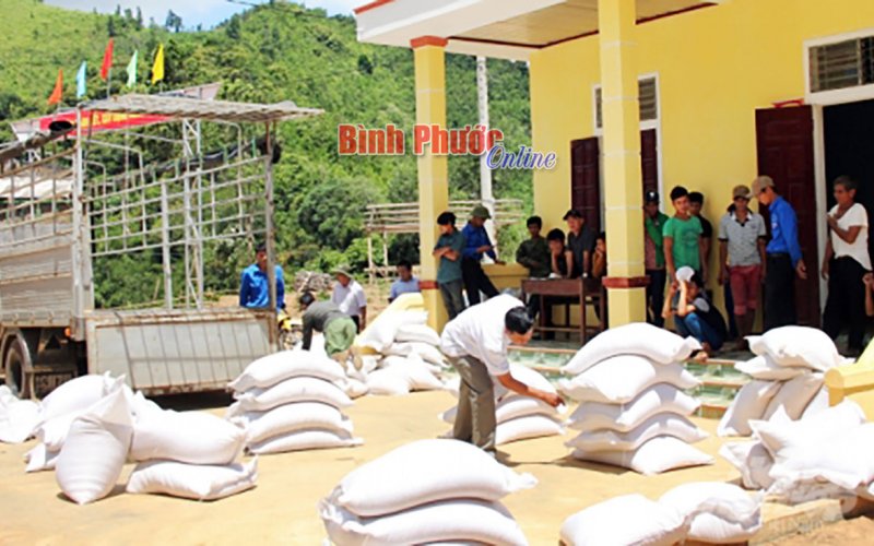 Phân bổ 559.740kg gạo hỗ trợ người dân gặp khó khăn do dịch bệnh Covid-19