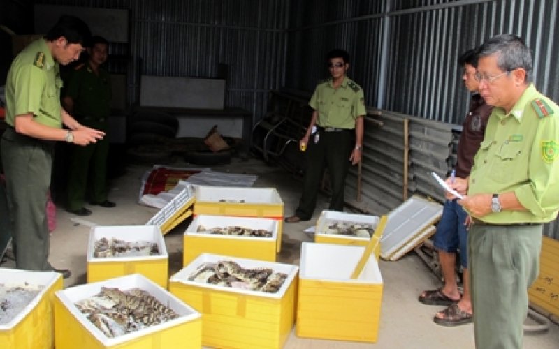 Phòng, chống buôn lậu, vận chuyển trái phép động vật thủy sản và sản phẩm động vật thủy sản từ nước ngoài vào Việt Nam