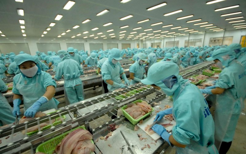 Thủy sản Việt chưa tận dụng được EVFTA vì thẻ vàng