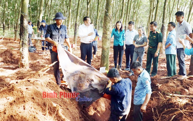 Bình Phước: Đội K72 quy tập 24 hài cốt liệt sĩ tại xã Minh Đức