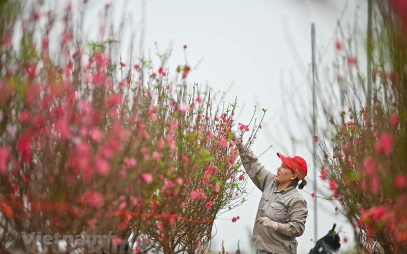 Bộ Lao động đề xuất phương án nghỉ Tết và nghỉ Quốc khánh năm 2023