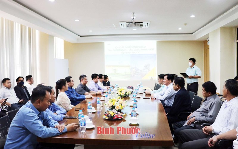 Đoàn đại biểu cấp cao tỉnh Champasak thăm Nhà máy chế biến gỗ MDF VRG Dongwha