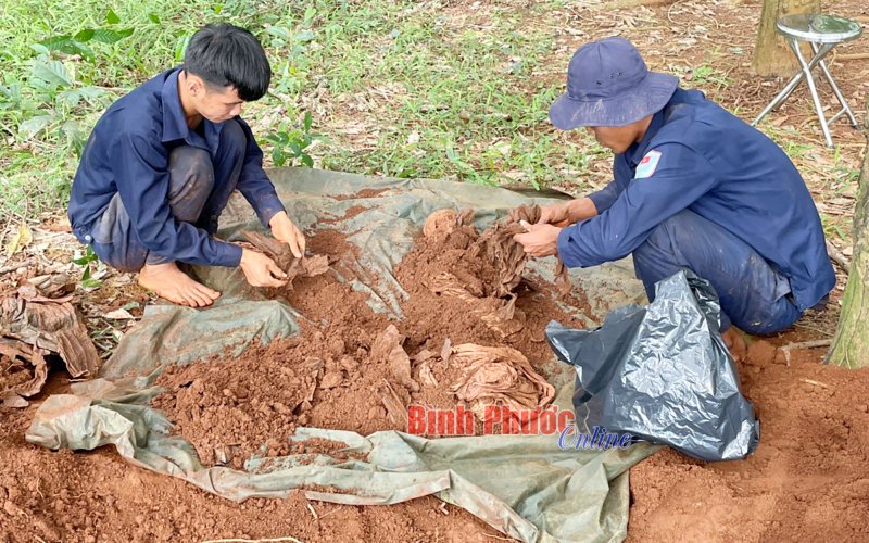 Đội K72 tỉnh Bình Phước quy tập được 9 mộ liệt sĩ tại huyện Hớn Quản