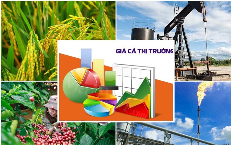 Đừng để thành công trở nên vô nghĩa