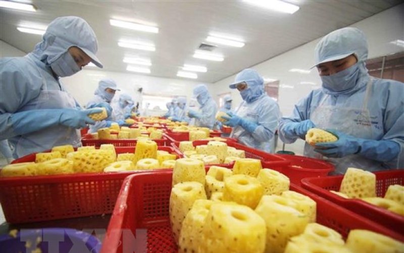 Hai năm thực thi Hiệp định EVFTA: Xóa nhòa những khoảng cách