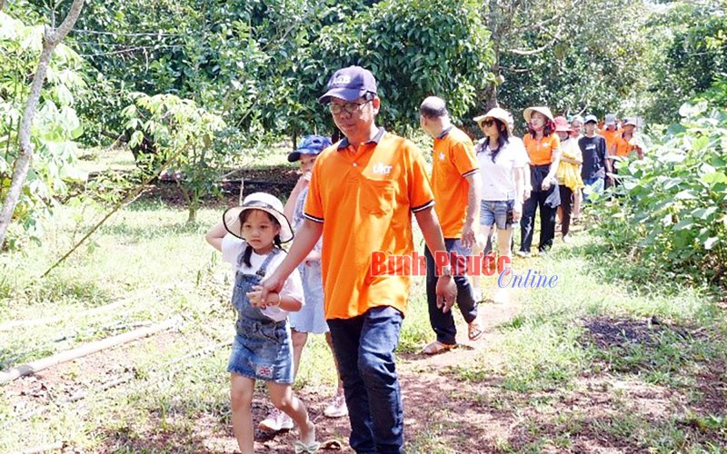 Lộc Ninh phát triển nông nghiệp gắn với du lịch