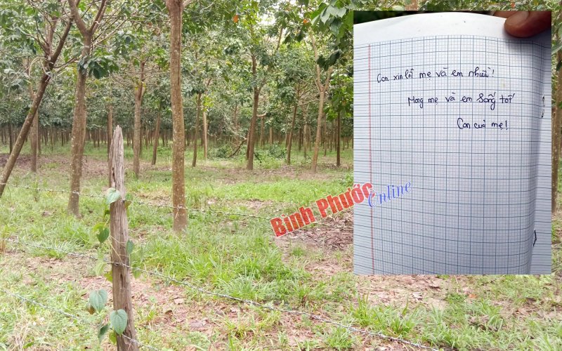 Nam thanh niên tử vong trong vườn cao su, nghi do tự tử