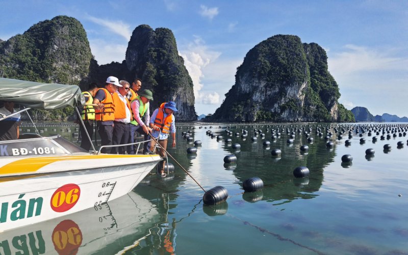 Những bước tiến mới của ngành thủy sản sau tái cơ cấu