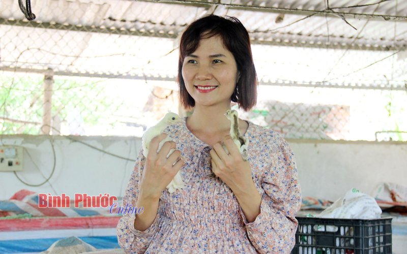 Nông dân Đồng Phú linh hoạt chuyển đổi mô hình sản xuất