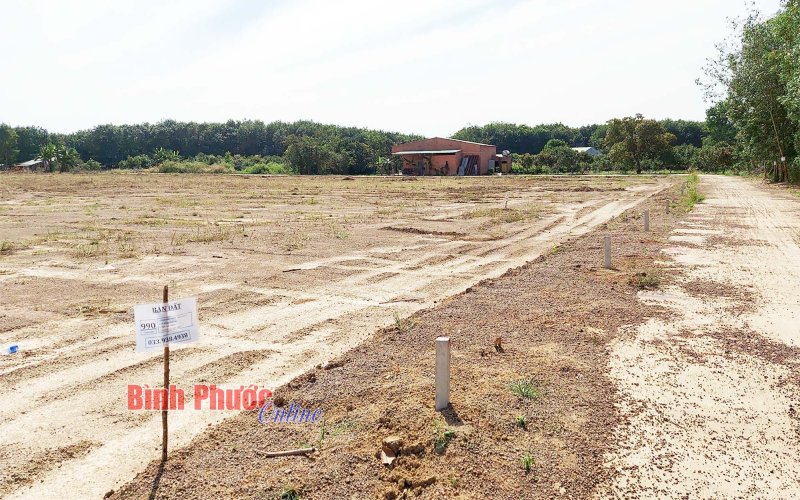 Phía sau cơn sốt đất lịch sử