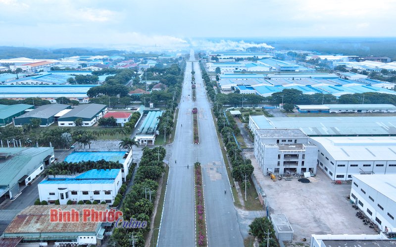 Phía sau cơn sốt đất lịch sử