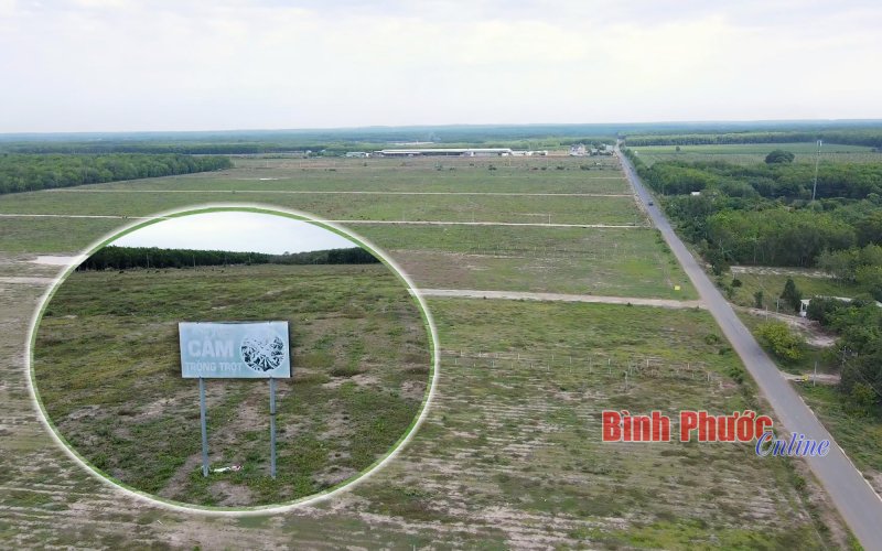 Phía sau cơn sốt đất lịch sử