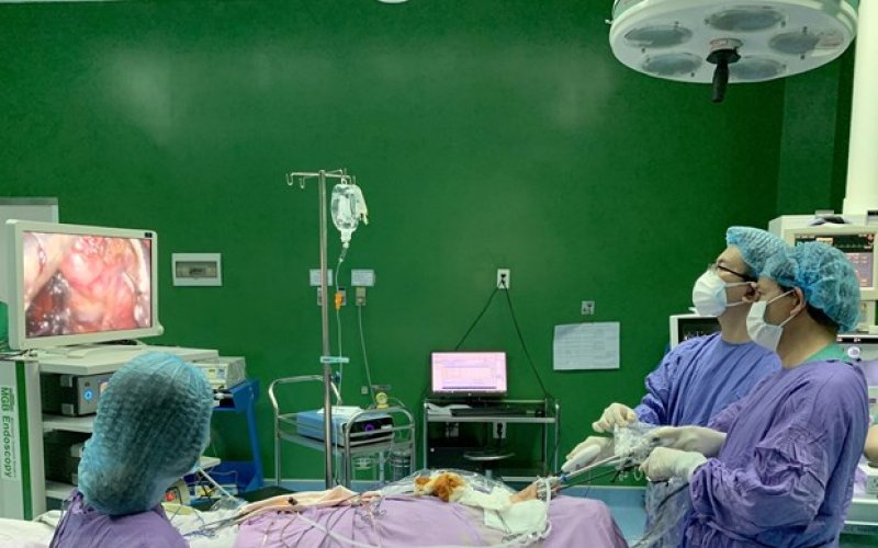 Quy định về nghỉ hưu ở tuổi cao hơn đối với viên chức