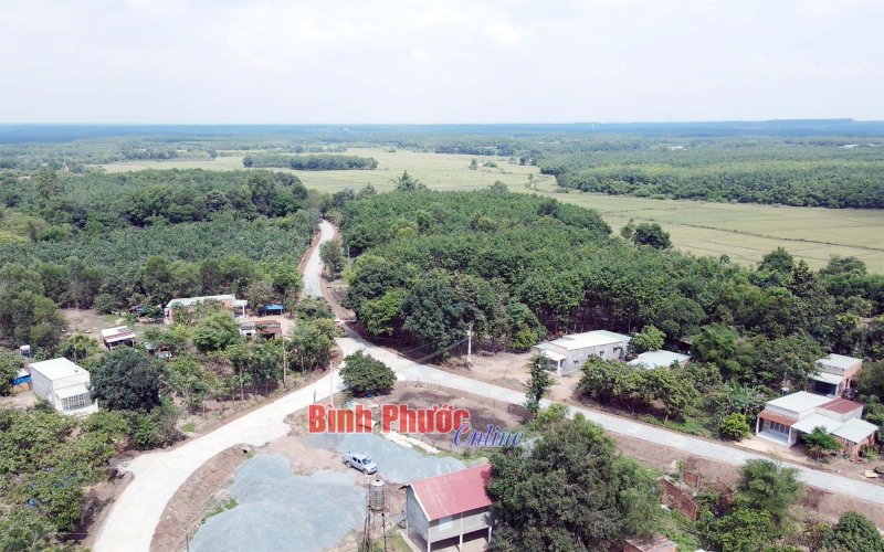 Sức sống mới trên quê hương cách mạng