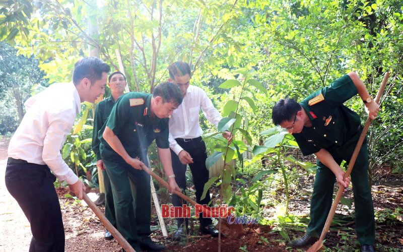 Binh chủng Thông tin liên lạc thăm và trồng cây tại rừng Mã Đà