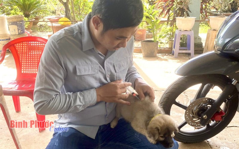 Bình Long: Công bố dịch bệnh dại chó trên địa bàn phường An Lộc