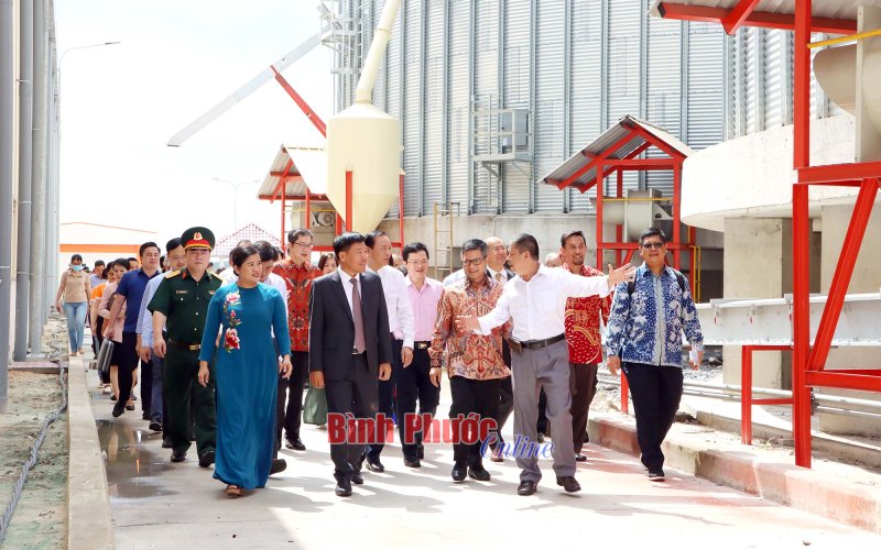 Bình Phước: Chỉ số PCI có xu hướng tiến nhanh về vị trí trung vị của cả nước