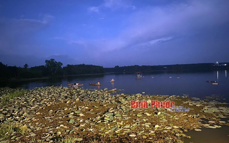 Bình Phước: Xuống hồ tắm sau khi đá bóng, một thanh niên đuối nước mất tích