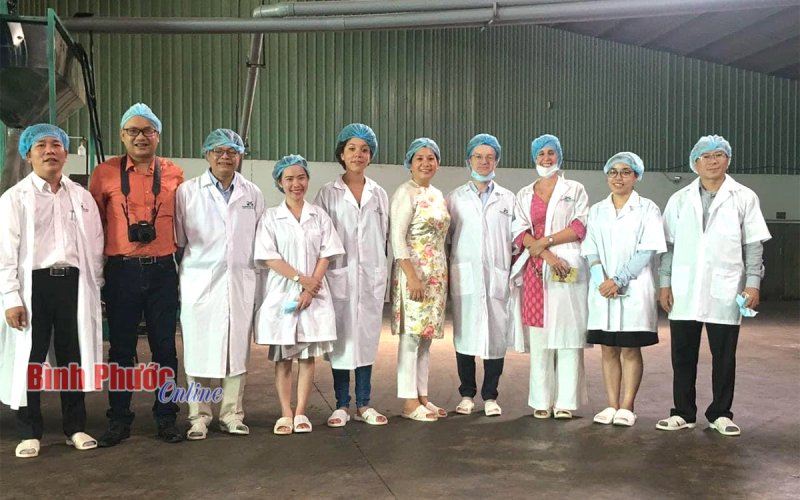 Chuỗi giá trị bền vững cho sản phẩm hạt điều Hà Mỵ