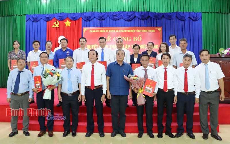 Công bố quyết định thành lập 2 tổ chức đảng trực thuộc