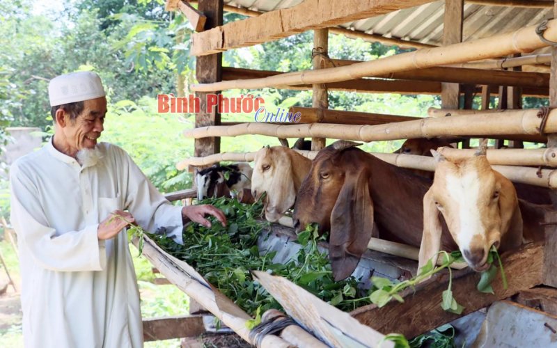 Đổi thay ở xóm đồng bào Chăm