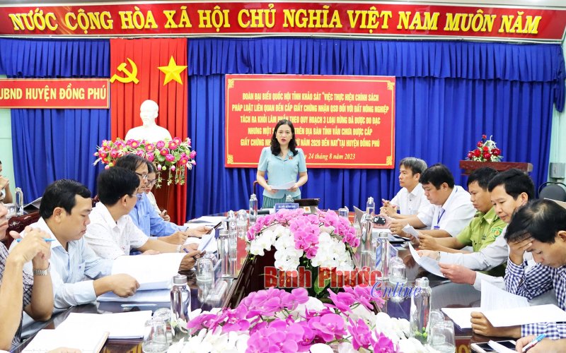 Đồng Phú: hơn 6.307 ha đất nông nghiệp chưa cấp giấy chứng nhận quyền sử dụng đất