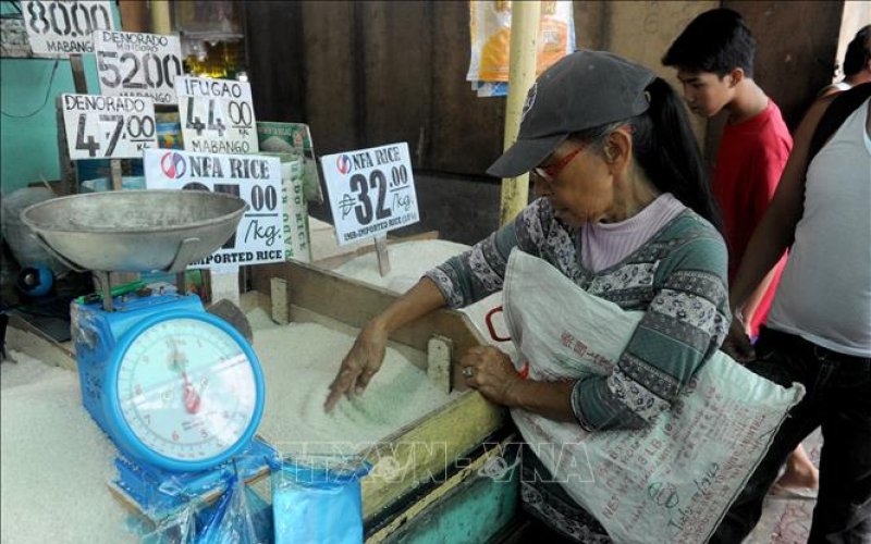 Động thái của các quốc gia châu Á nhằm ổn định thị trường gạo trong nước