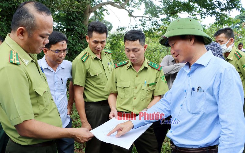 Khảo sát thực địa khu vực diễn tập, xử lý sự cố cháy rừng