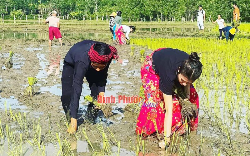 Lộc Ninh: Đặc sắc lễ hội xuống đồng