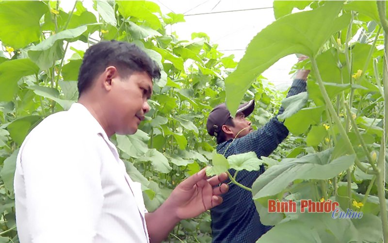 Nâng cao chất lượng cán bộ dân tộc thiểu số