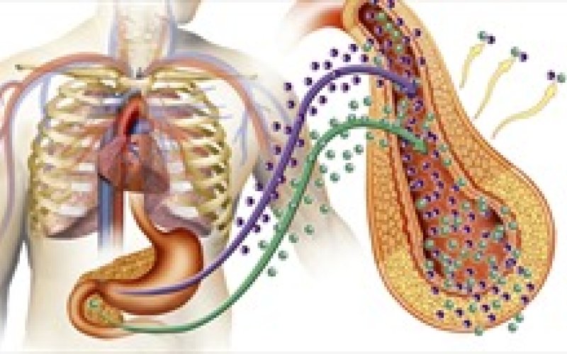 Phát hiện nhân tố có thể giúp tăng hiệu quả điều trị bệnh đái tháo đường