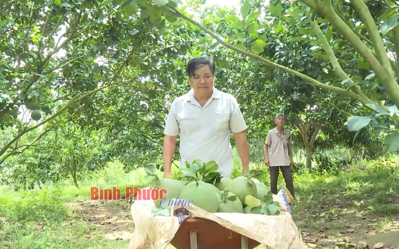 Phát triển nông nghiệp công nghệ cao