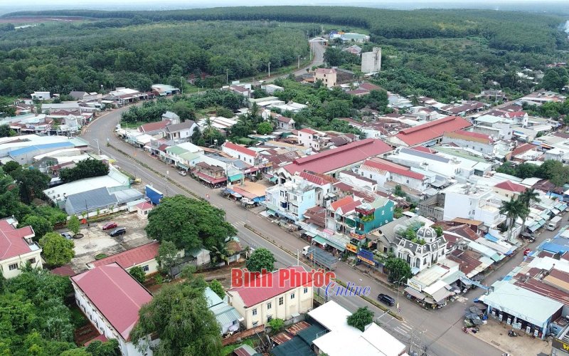 Sáng mãi mùa thu tháng Tám