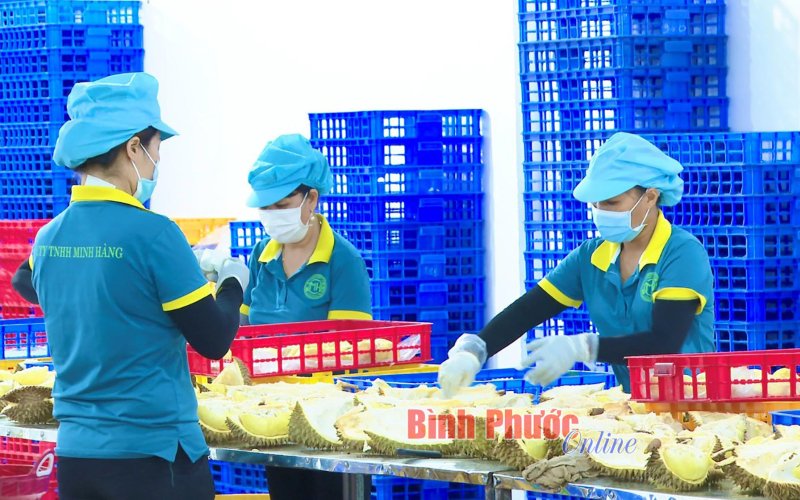 Tăng sức cạnh tranh cho nông sản