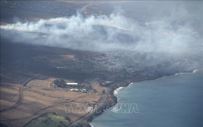 Thảm họa cháy rừng ở Hawaii (Mỹ): Con số thương vong sẽ còn tăng