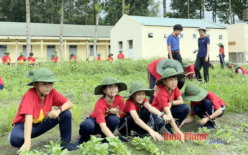 Thiết thực các hoạt động hè cho thanh thiếu nhi