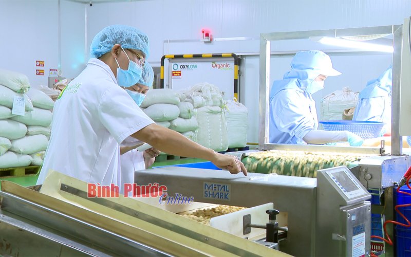 Bình Phước ưu tiên phát triển công nghiệp công nghệ cao