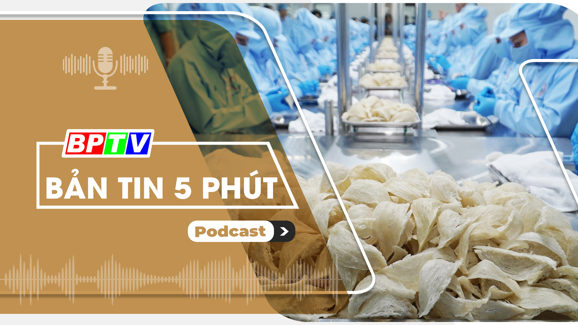 5 phút sáng nay 14-8-2024