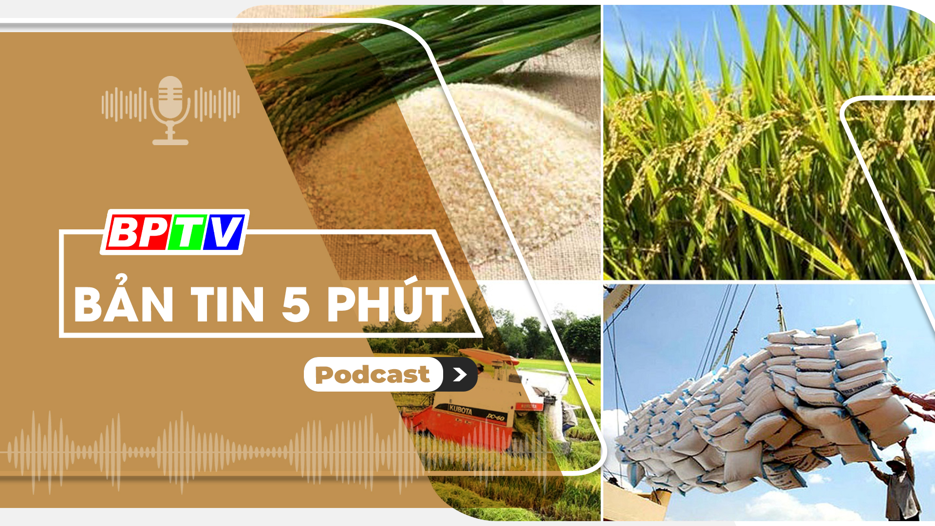 5 phút sáng nay 6-8-2024