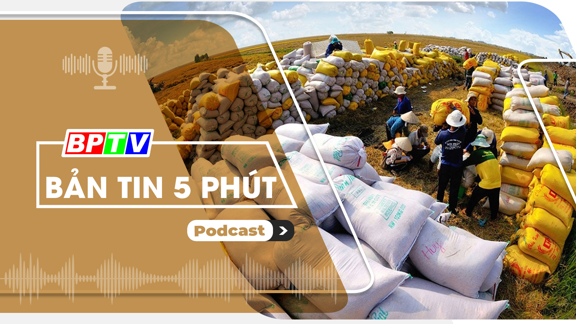 5 phút sáng nay 7-8-2024