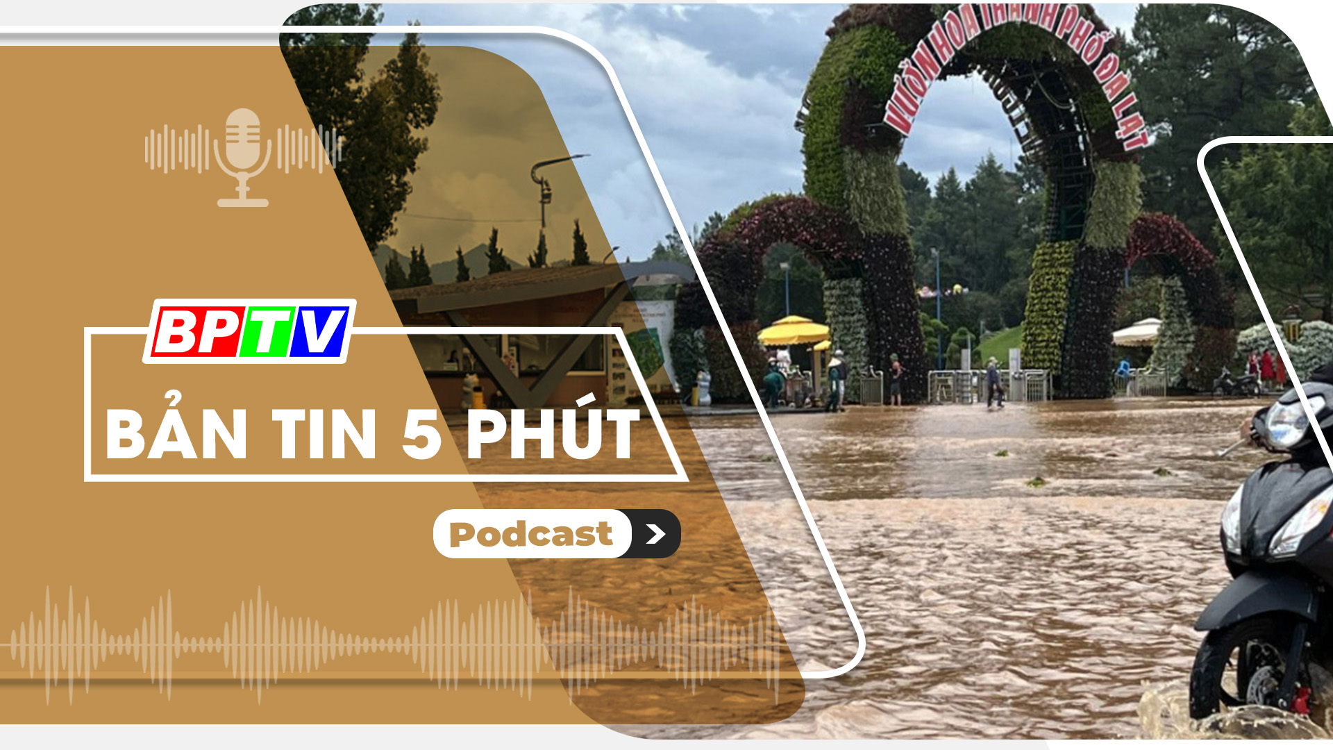 5 phút trưa nay 16-8-2024