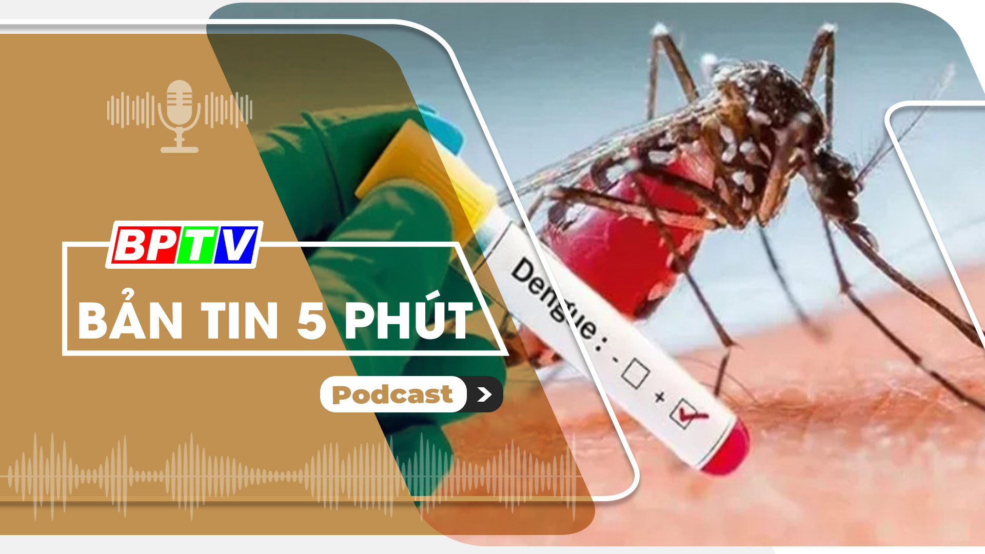 5 phút trưa nay 19-8-2024