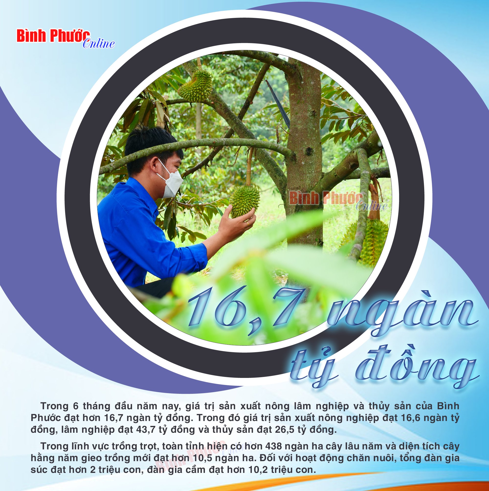 Bình Phước: 6 tháng 2024, giá trị sản xuất nông lâm nghiệp và thủy sản đạt hơn 16,7 ngàn tỷ đồng