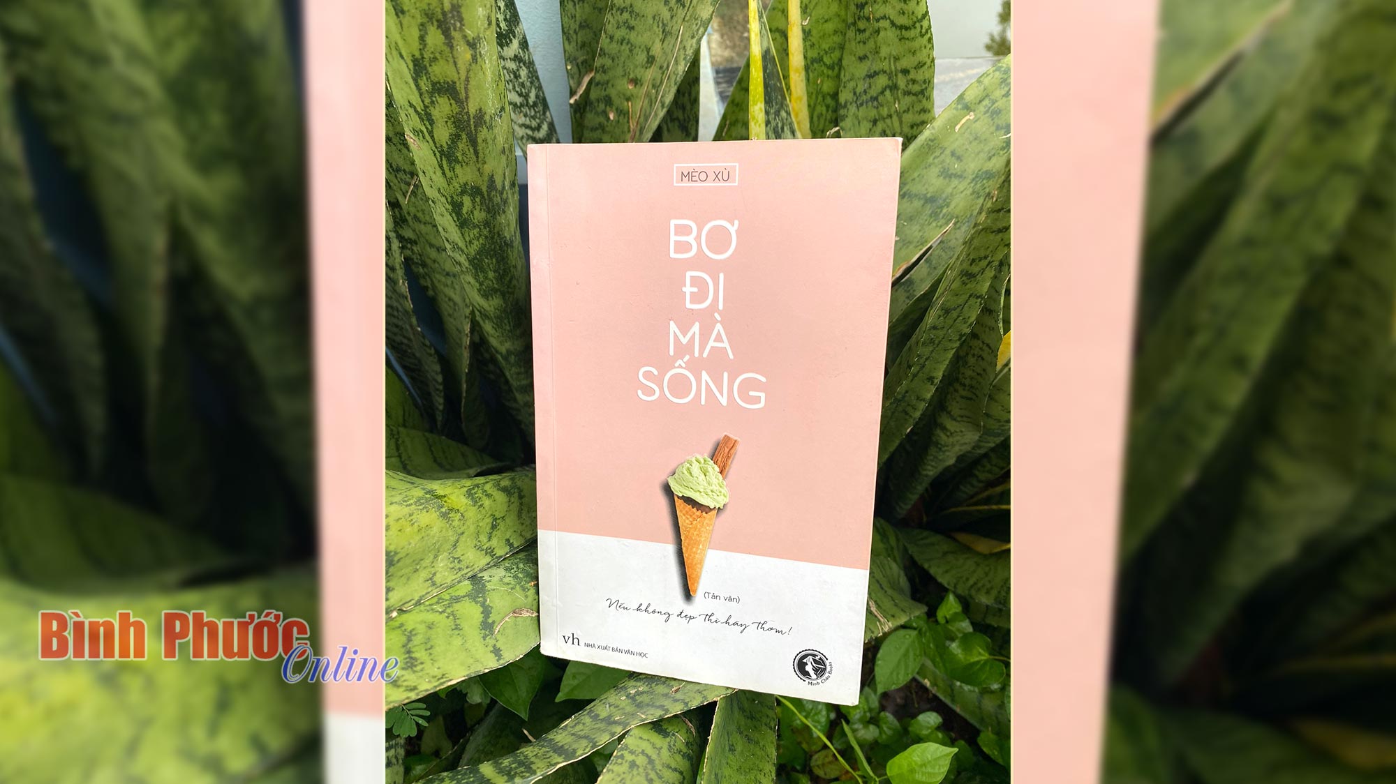 Bơ đi mà sống… tích cực!
