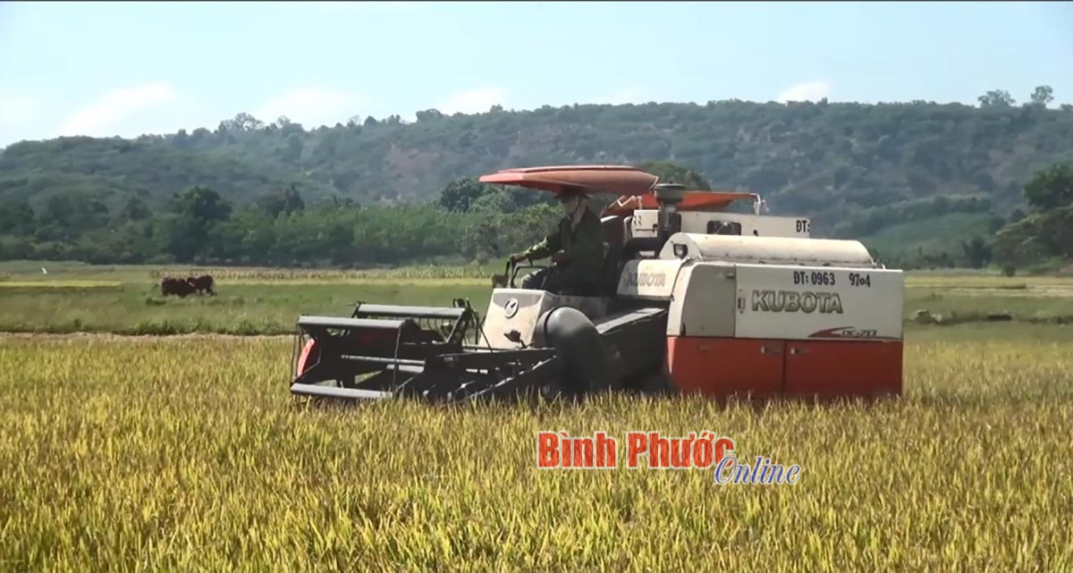 Đổi thay ở Đăng Hà