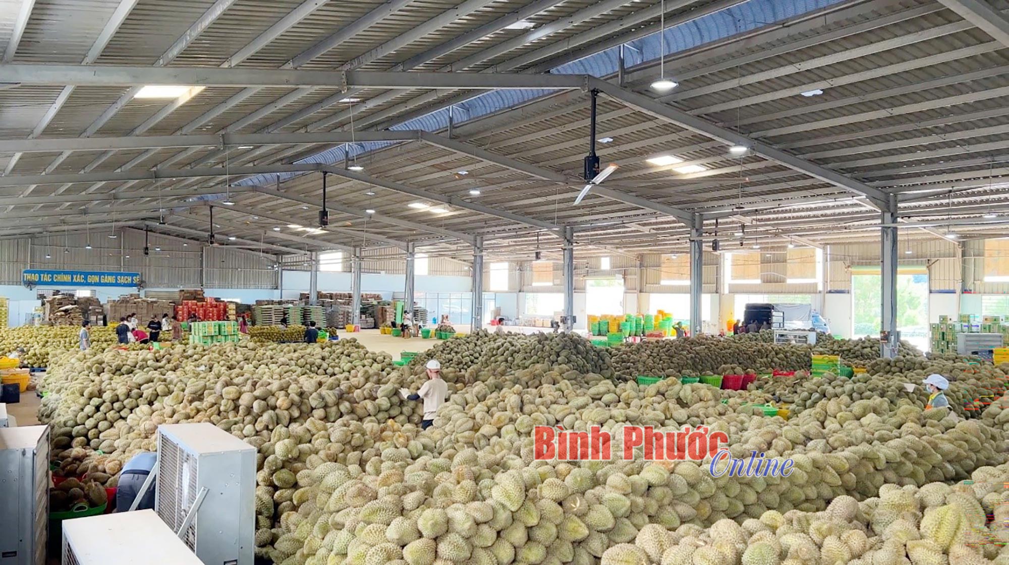 Gia tăng số lượng và chất lượng tài sản trí tuệ mới