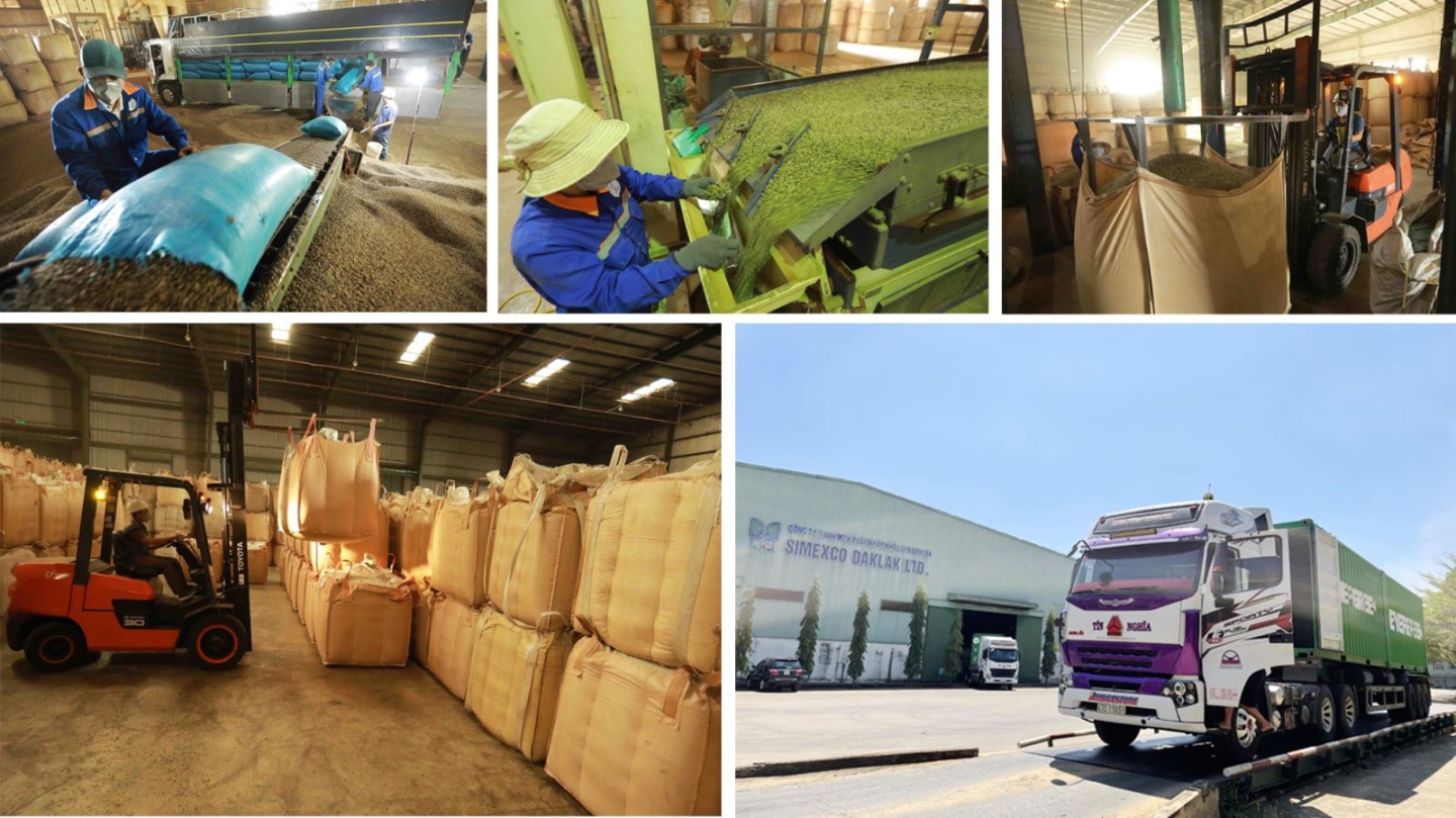 Khẳng định giá trị, vị thế thương hiệu Việt